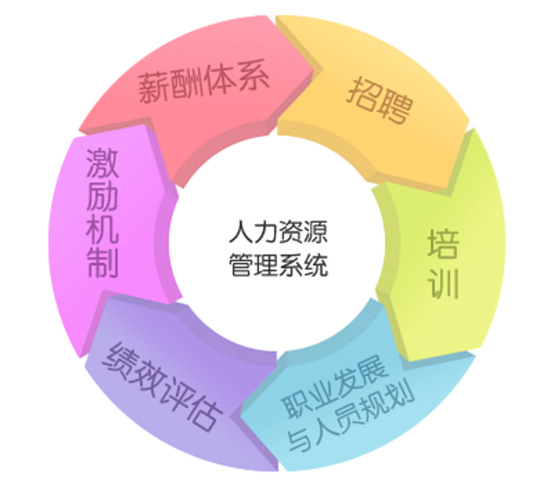 企业管理咨询：把握机遇，应对挑战